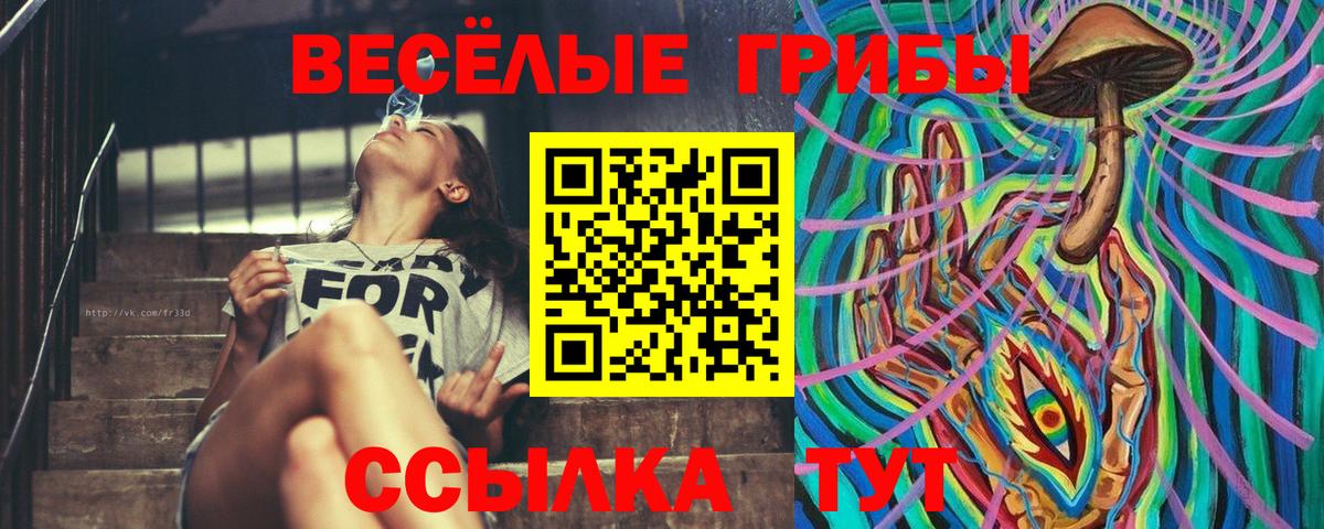 Галлюциногенные грибы мухоморы  Вход с VPN  Псилоцибиновые грибы прущие грибы  Кохма 